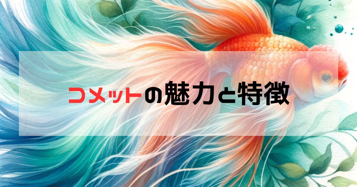 初心者のためのコメット金魚飼育法:その独特の特徴とは? | happy-life-with-pet